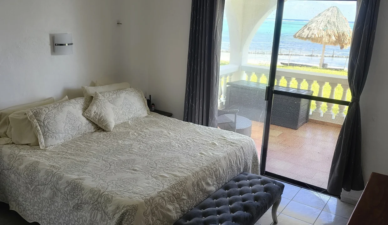 1000013696_edited (2)