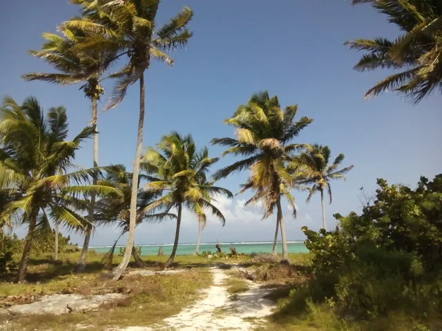Xcalak – 2 Large Beachfront Lots on Caribbean.
