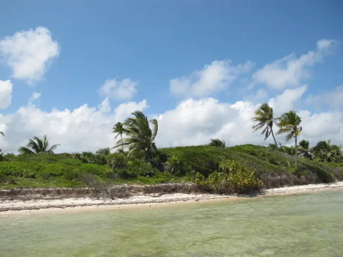 Xcalak – Lote de Primera frente al mar Caribe de Costa Maya