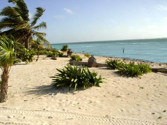 Exclusive Listing – Xcalak – 2 Lots Beachfront on the Costa Maya.