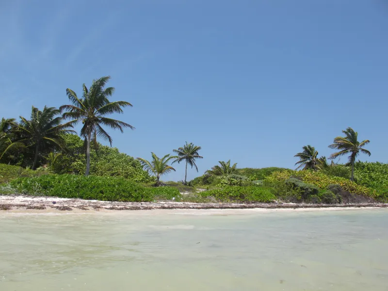 Costa Maya Prime beachfront (1)
