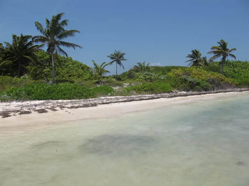 Costa Maya Prime beachfront (2)