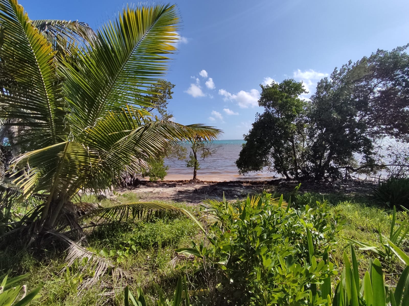 Sold by Xcalak Realty – Xcalak – Beach front lot 1 kilometer north of Xcalak Town.
