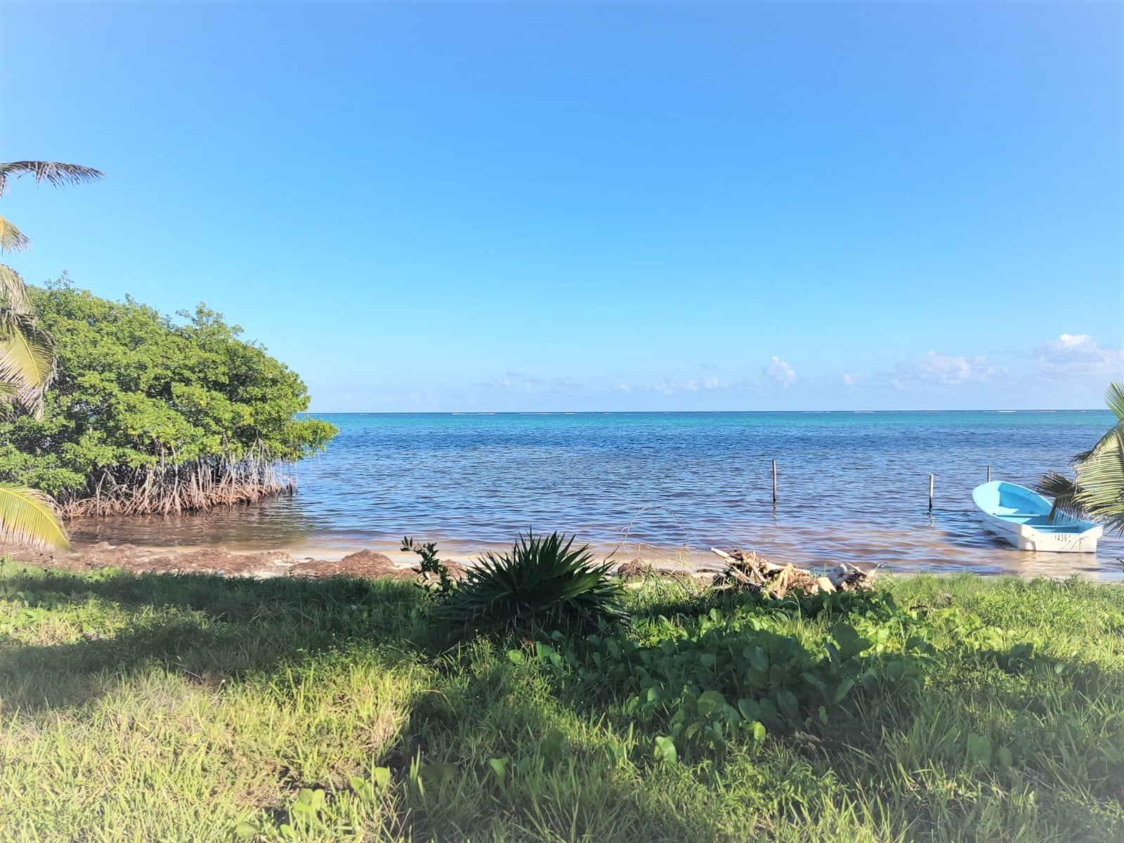 Sold by Xcalak Realty – Xcalak – Beachfront lots just 1 kilometer north of town
