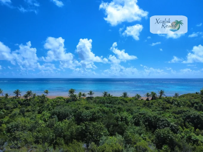 B-393 air view Xcalak Lotss for sale