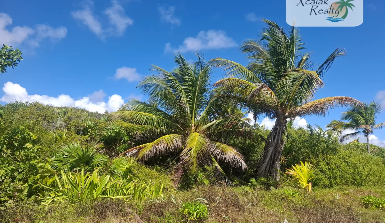 B-393 property photos (2)