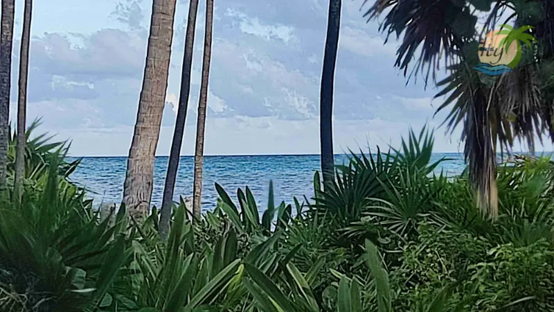Tanquila – New Exclusive Listing – Beachfront Lot for sale on the Mexican Caribbean.