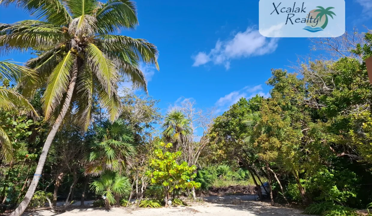 B-573 Xcalak Realty (38)