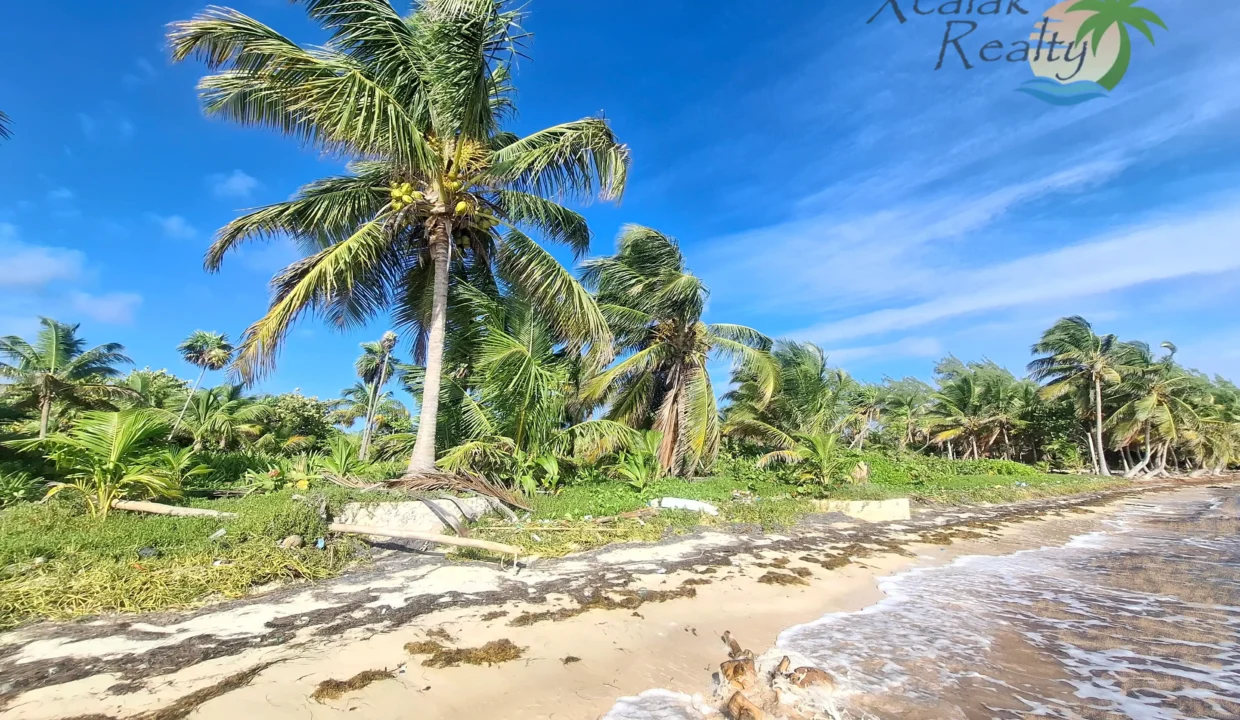 Beach lot for sale in Mahahual