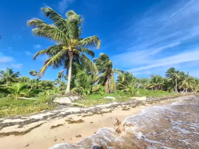 Beach lot for sale in Mahahual
