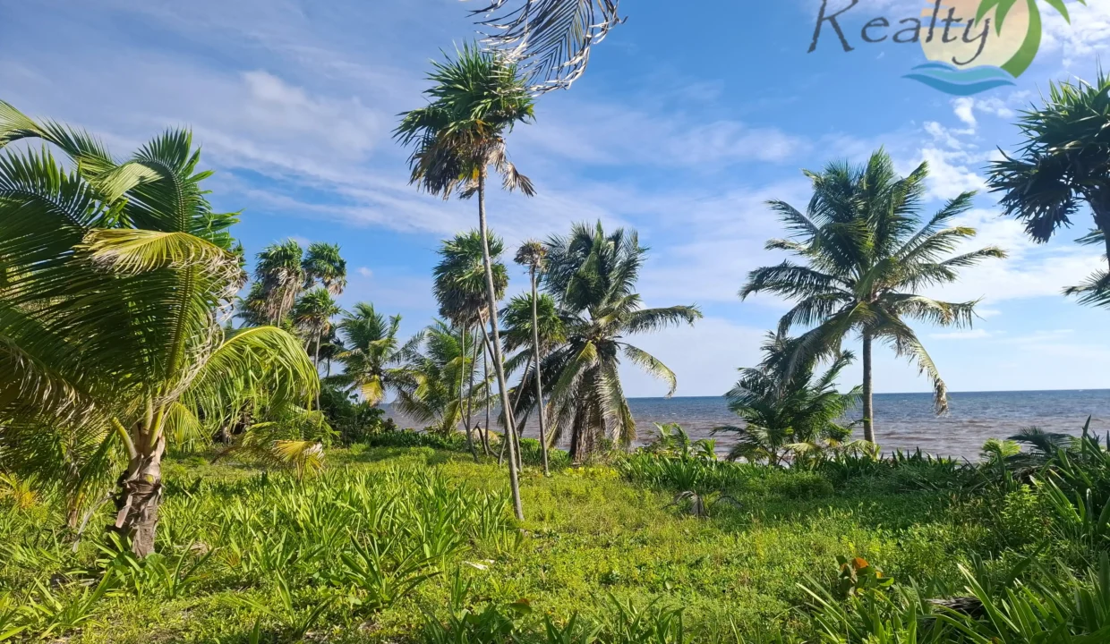 Beachfront lot in Mahahual (2)