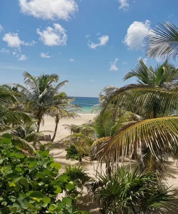 Boutic Hotel for Sale in Mahahual Costa Maya (4)