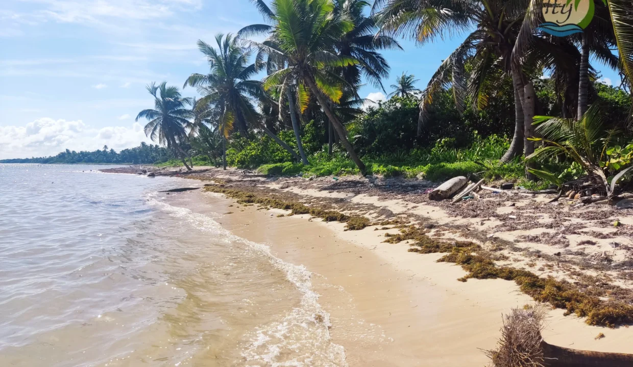 Costa Maya beachfron lot for sale (1)