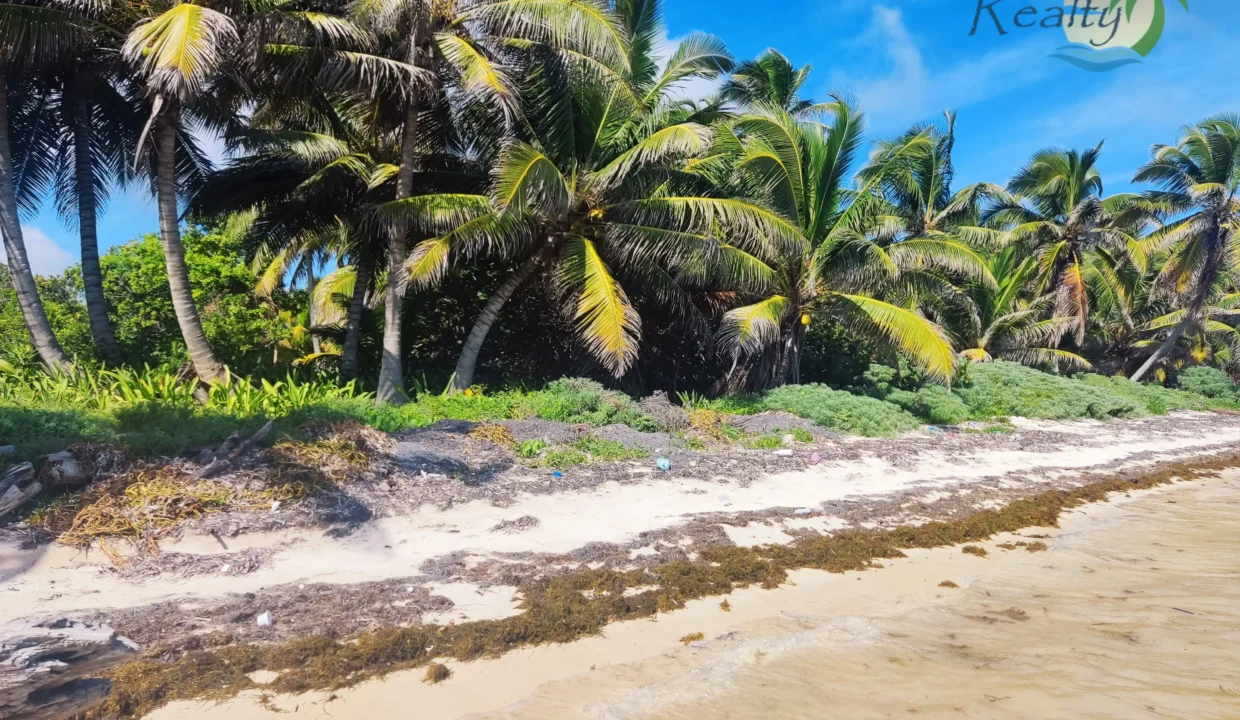 Costa Maya beachfron lot for sale (2)