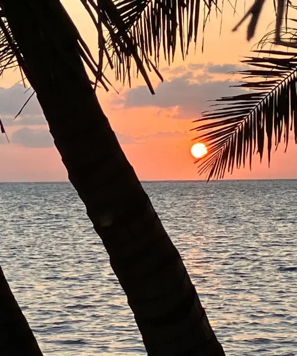 House for sale in Costa Maya (2)