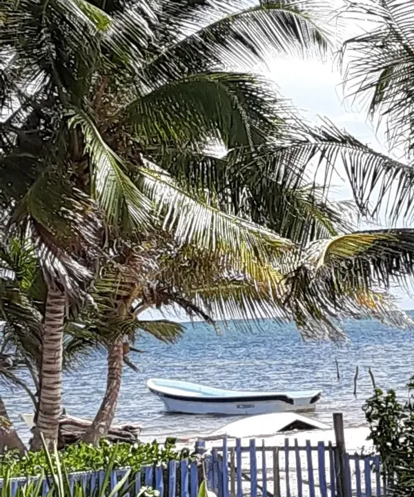 House for sale in Costa Maya (3)