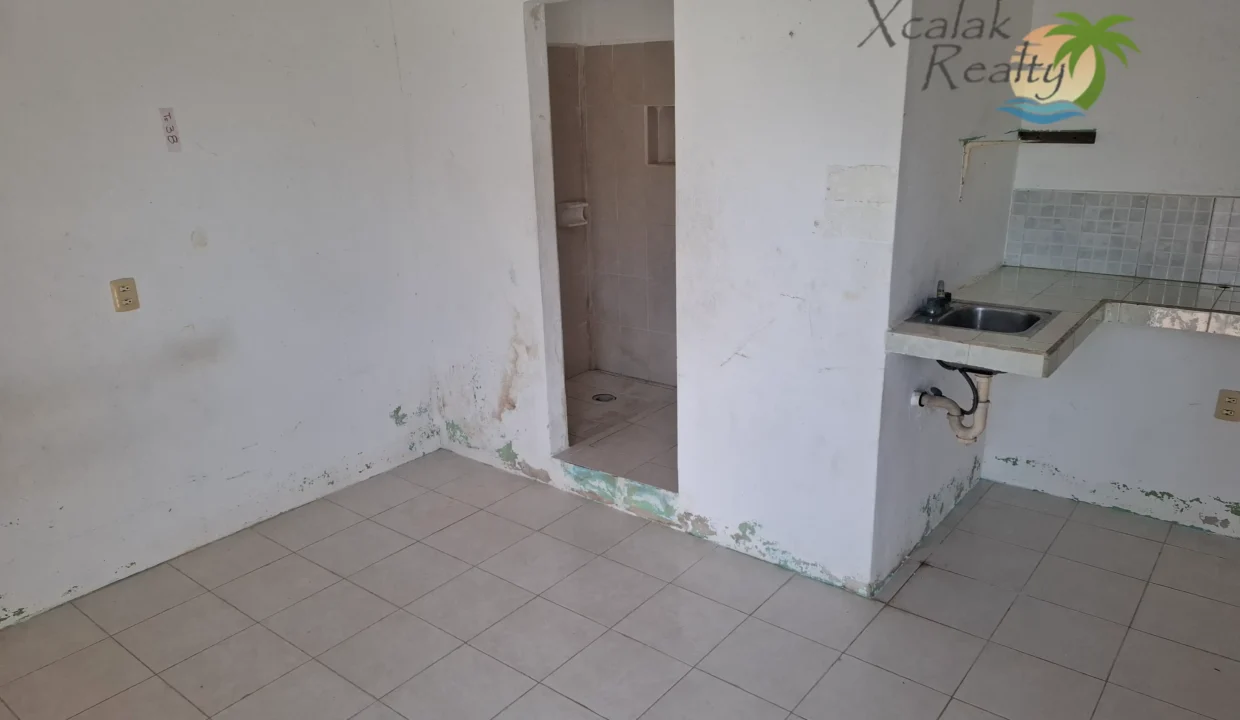House for sale in Xcalak Town Investment Opportunity (1)