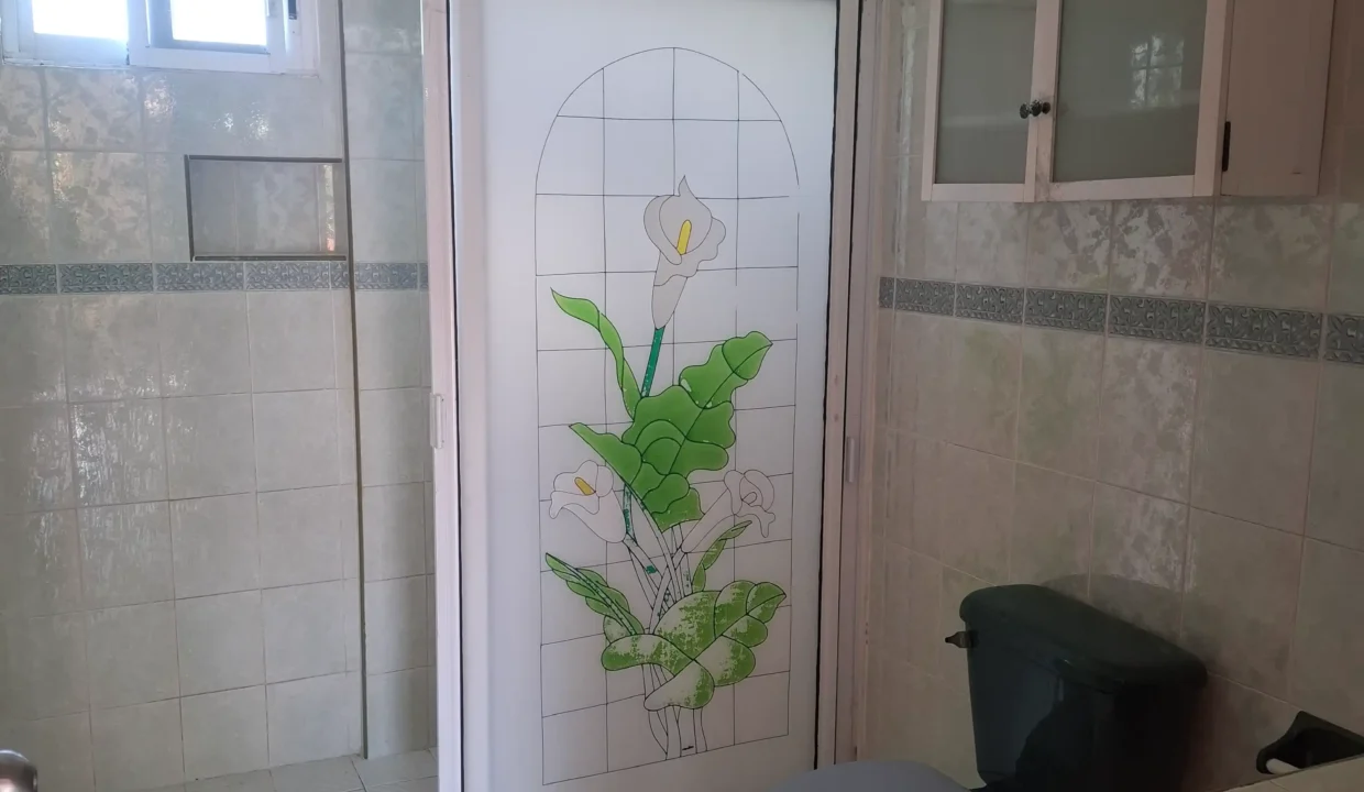 House for sale in Xcalak Town Investment Opportunity (7)