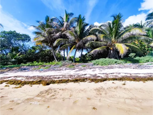 BeachFront lot for sale in the Costa Maya