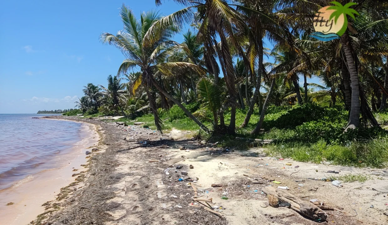 Opportunity for sale in Xcalak