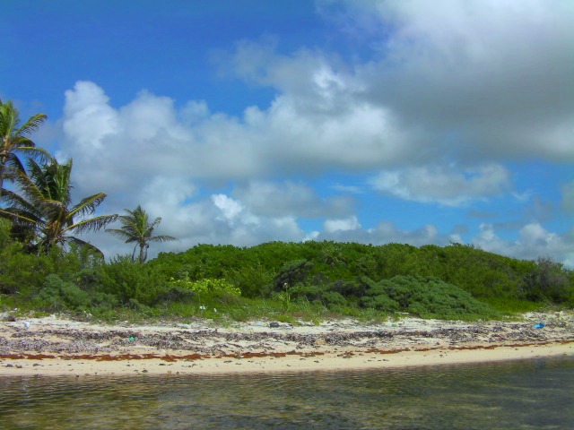 Beachfron lot for sale in Xcalak with 20 meters of beach