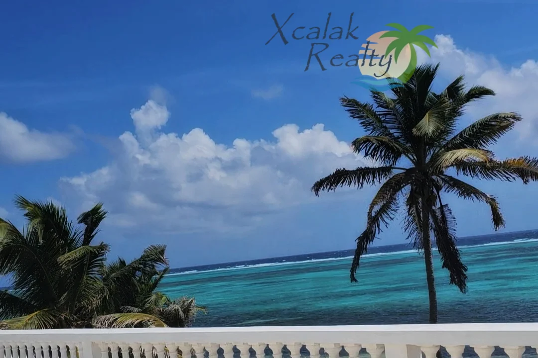Xcalak Realty (1)